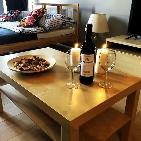 Apartment Best Location 21 Posen